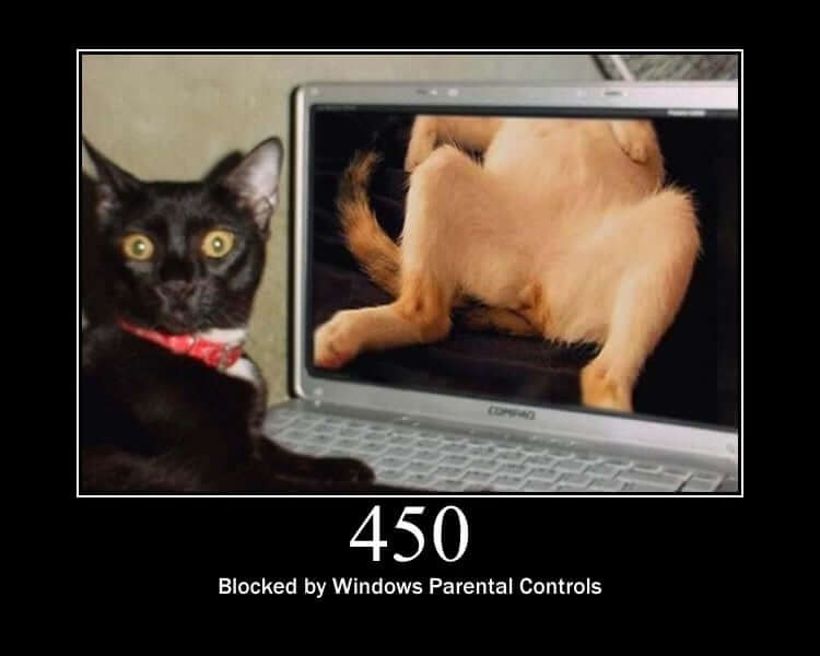 Blocked by Windows Parental Controls