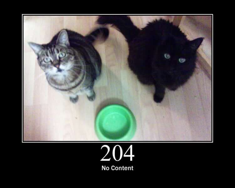 Picture of two cats in front of an empty bowl; the caption reads "204 No Content"