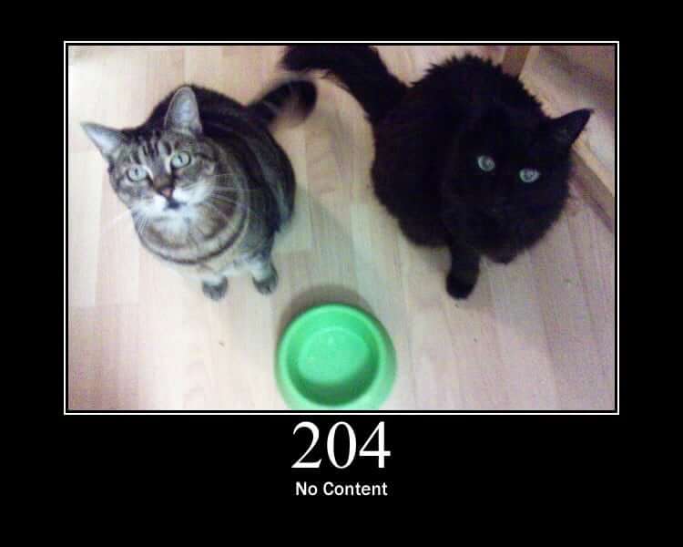 HTTP Cats - No Content