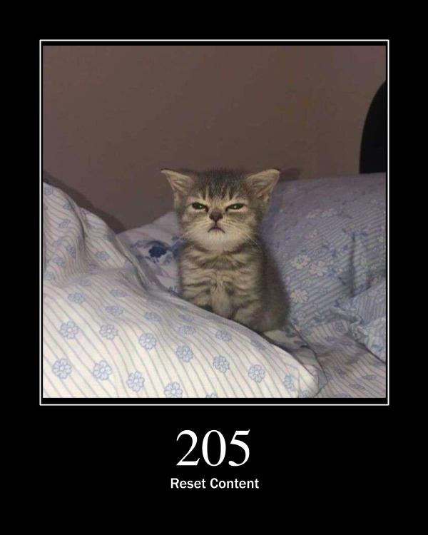 205 Reset Content