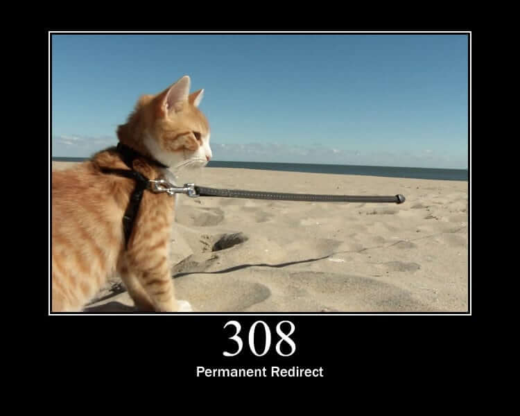 HTTP 308 - Permanent Redirect