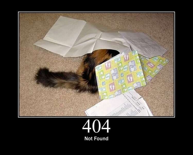 A cat hiding under a bunch of papers. Below the photo is the text 404 Not found.