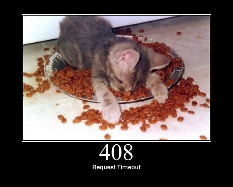 An illustration of the 408 HTTP error code (Request Timeout) showing a kitten napping in a food bowl