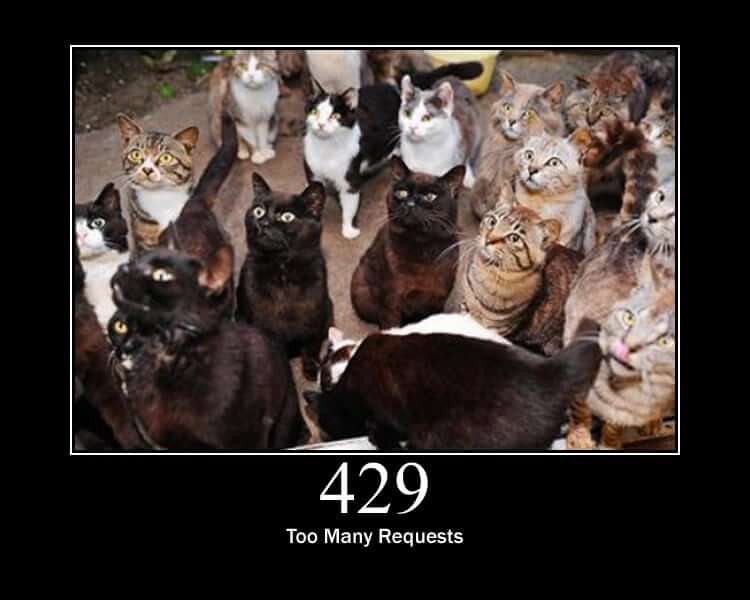 429 Too Many Requests - HTTP status code and cats!