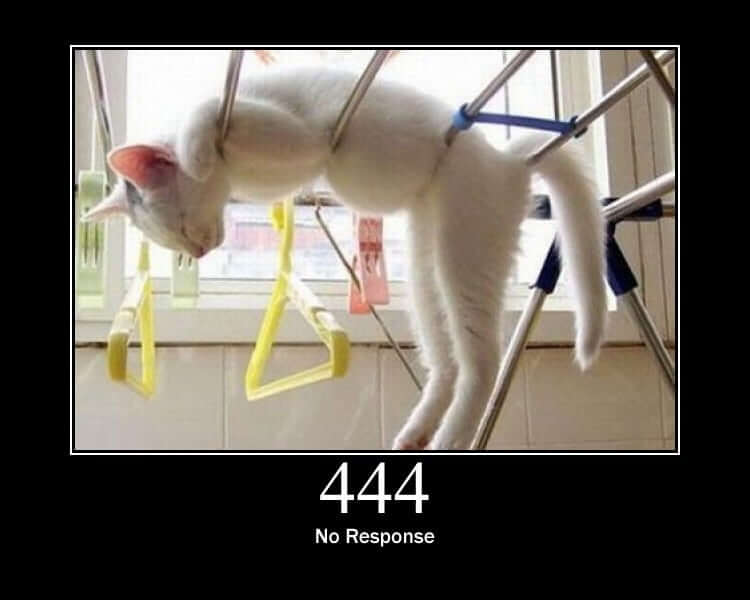 444 No Response