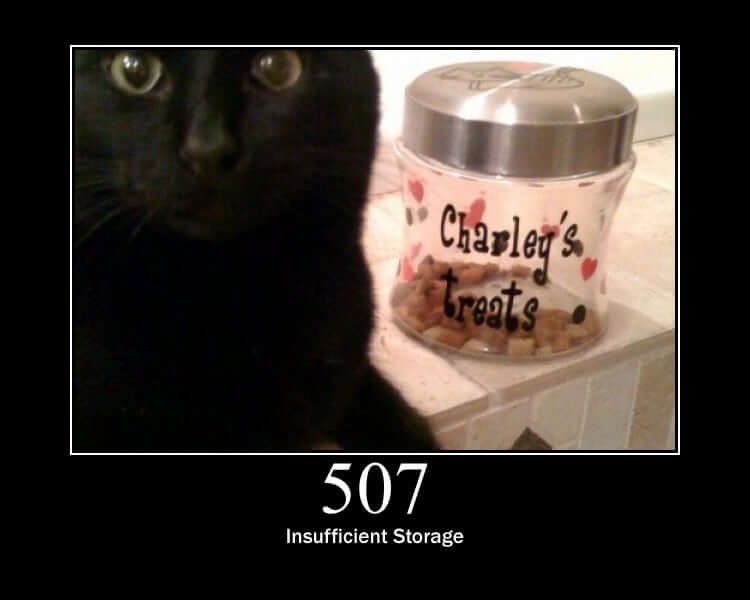 507 Insufficient Storage