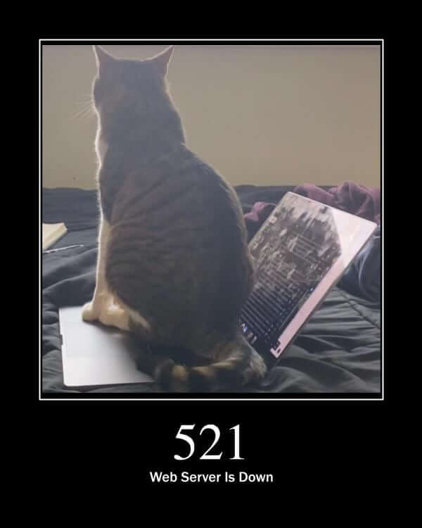 521 Web Server Is Down HTTP Cats 521-web-server-is-down-http-cats