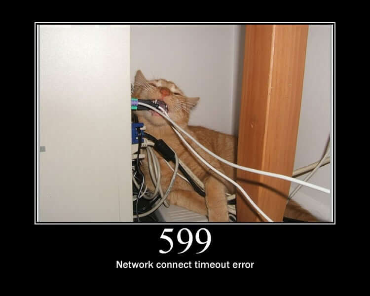 Network Connect Timeout Error